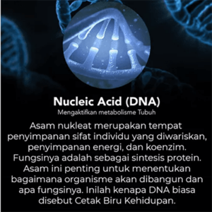 screenshot-12-300x300
