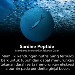 screenshot-19-300x300
